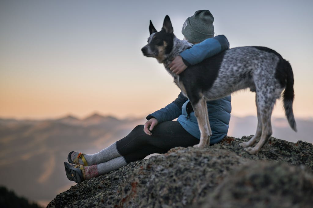 14 Amazing Benefits Of A Shock Collar For Dogs – Are They Worth Trying 2 Benefits Of A Shock Collar