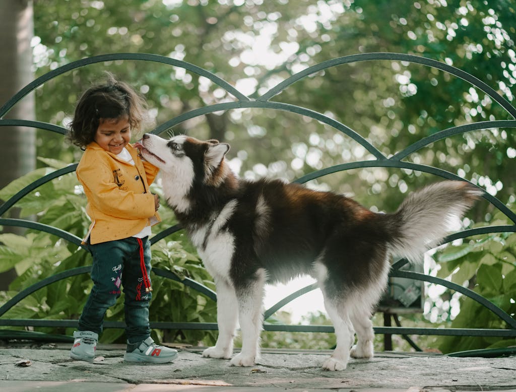 13 Best Dog For Scared Child – Is It The Right Pet for Your Child? 2 Best Dog For Scared Child