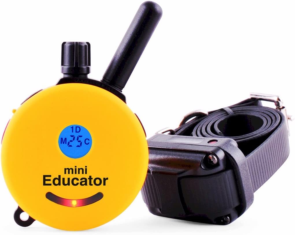 Educator E-Collar