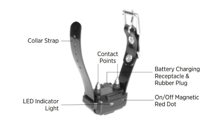 Will Shock Collar Hurt My Dog