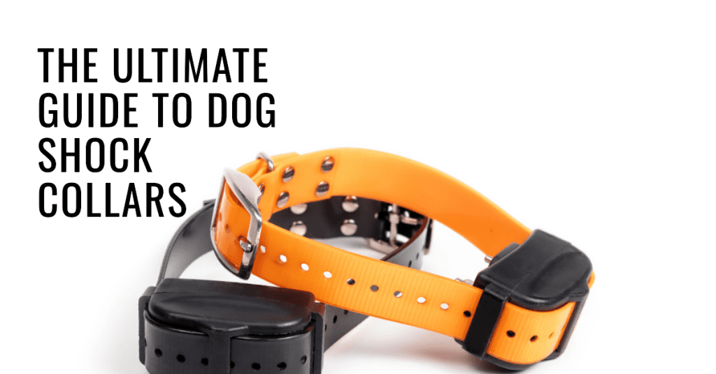 Dog Shock Collars