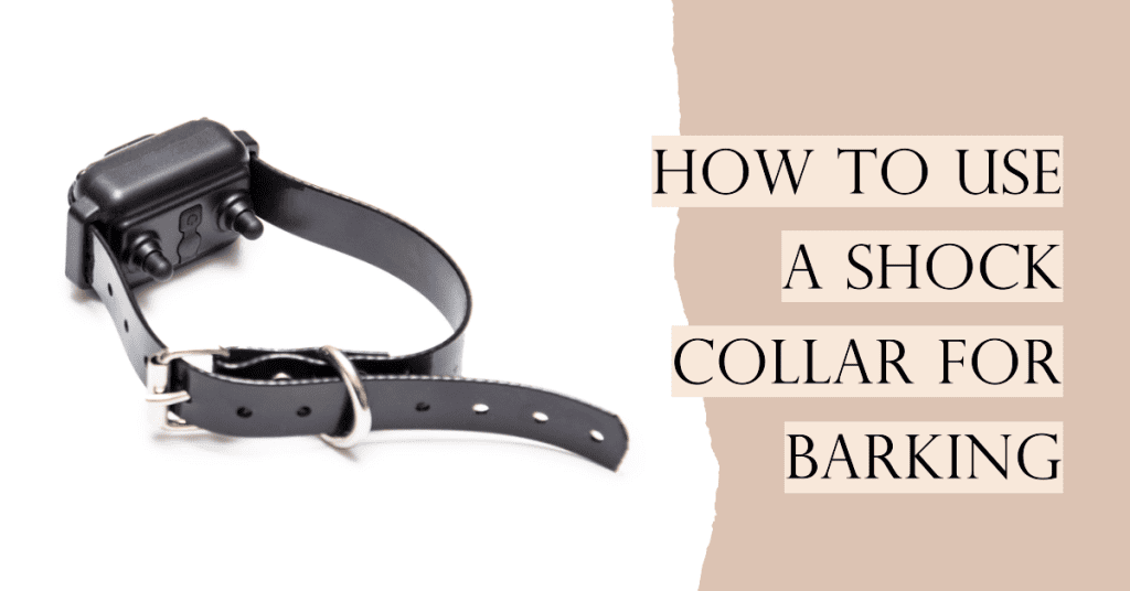 How To Use Shock Collar for Barking