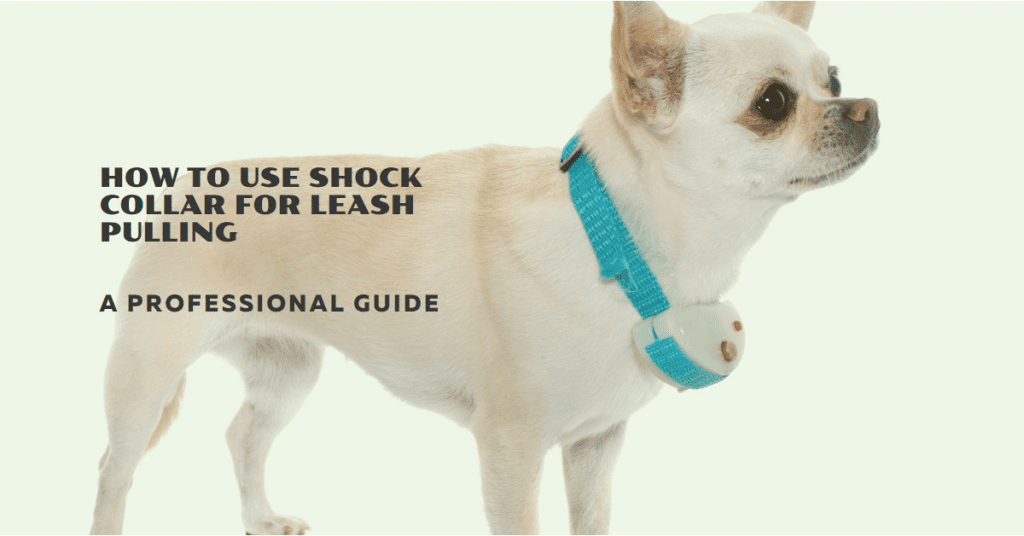 How To Use Shock Collar for Leash Pulling