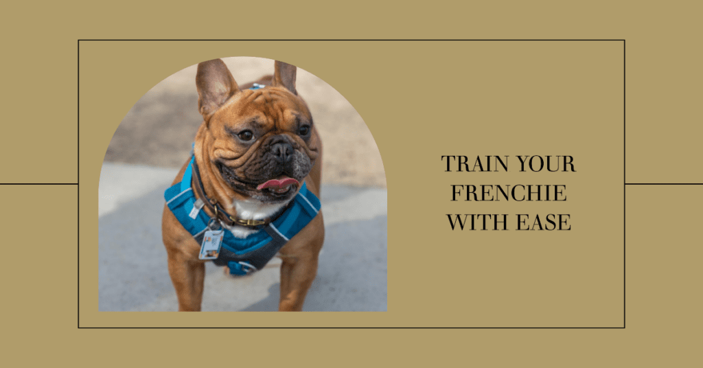 Best Shock Collars for French Bulldog
