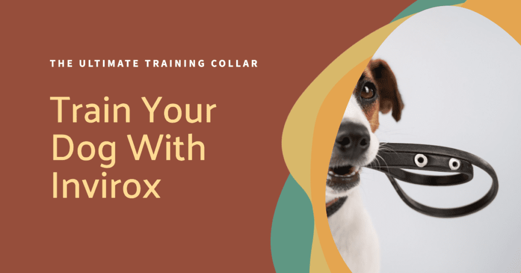 Invirox Dog Training Collar