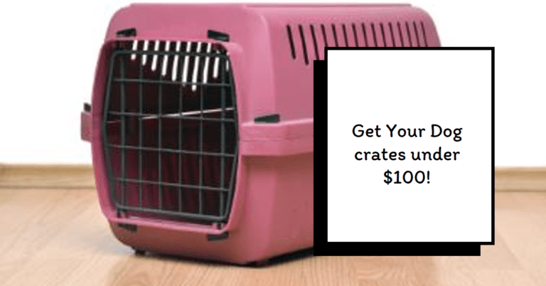 Dog crates under $100