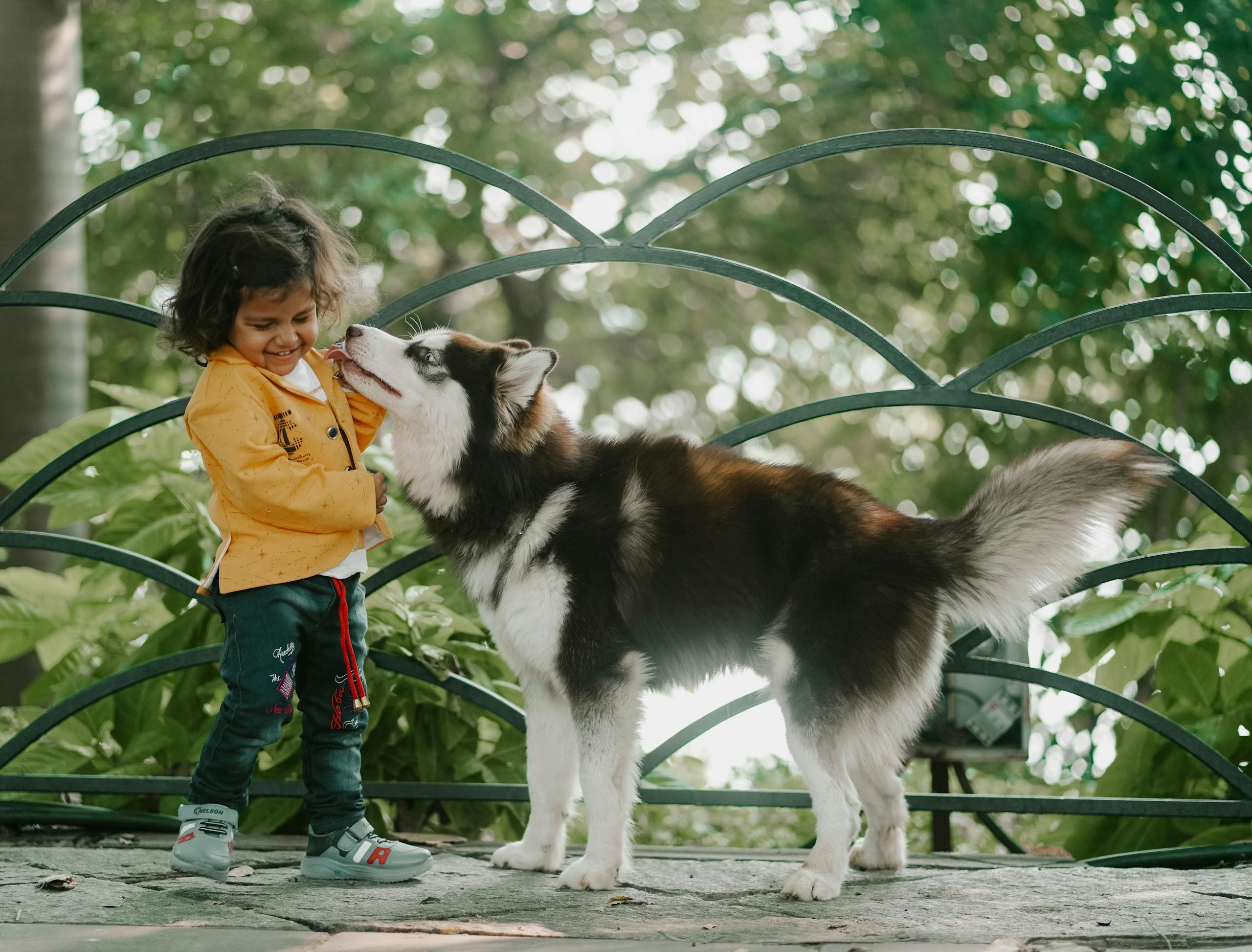 13 Best Dog For Scared Child – Is It The Right Pet for Your Child? 1 Joyful moment of a child interacting with a playful Siberian Husky in a sunny garden.